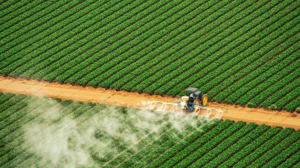 Best Pest Control Treatment  in Lake Dallas, TX