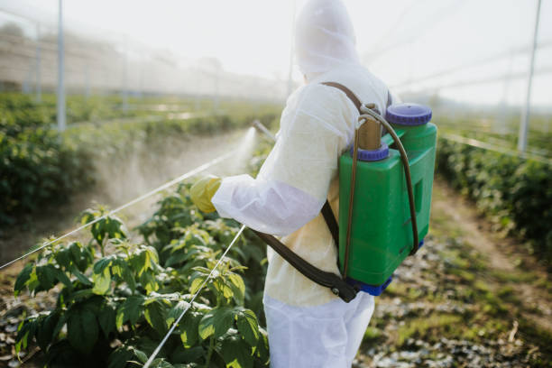 Best Rat Extermination Near Me  in Lake Dallas, TX